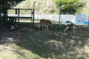 斜めになっているところもあります