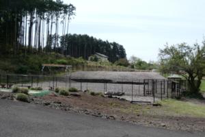 受付をすませドッグランへ