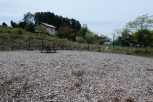 ベンチもたくさんあります