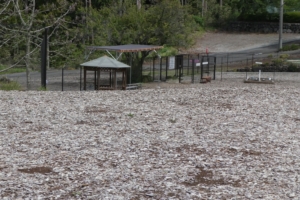 ベンチもたくさんあります
