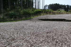 傾斜もあるので走り回れそうです