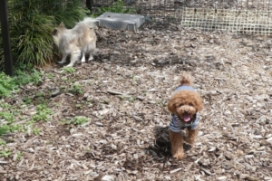 楽しそうな顔しています