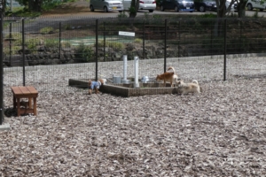 水場でひとやすみ