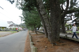 神の道を進んでいった左手にあります