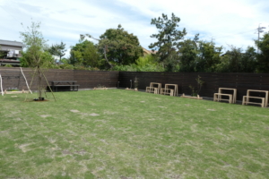 きれいな天然芝のドッグランです