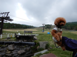 奥に見えるゴンドラに乗りまーす