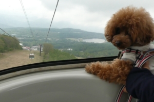 少し景色も見れました