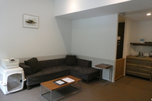 お部屋は広々した雰囲気