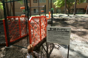 寄り道ドッグラン