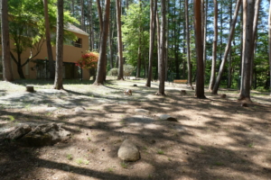 自然な感じでとてもいい感じのドッグランです