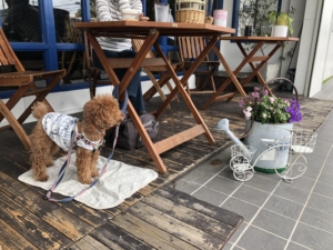 雰囲気はいい感じです