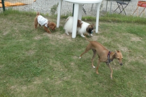 マイペースでみなかわいい