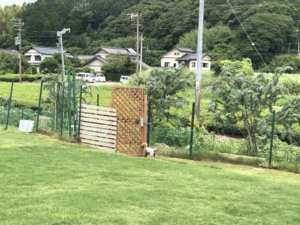 広くなってました