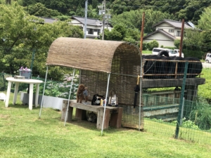 夏に向けてベンチが日陰のよしずができていてうれしい