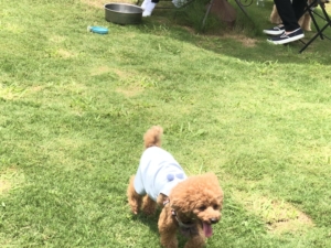 また近くにきたら寄ろうね