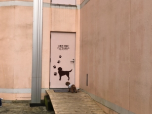 一般用の出入り口はこちら