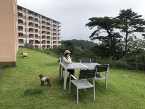 テーブルもあるので休めます