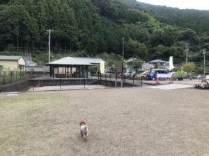 奥から道の駅入り口をみたところ