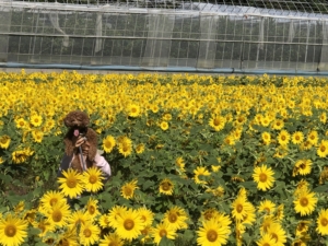 こんなことはしなくてもいいかも