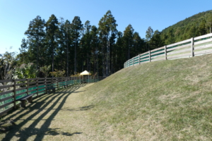 中は楕円場に置くに広いドッグランです