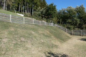 中は楕円場に置くに広いドッグランです