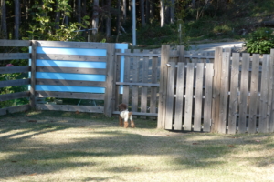 入り口付近をさぐったり