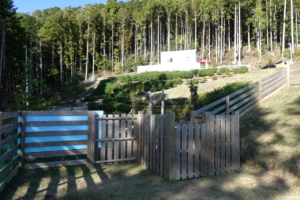 ドッグランから事務所を見たところ