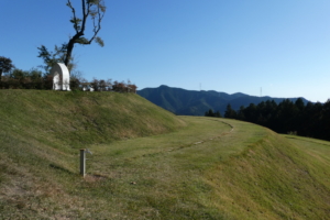 この斜面が墓地になっているそう