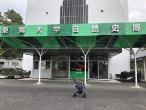 お次は恐竜へー