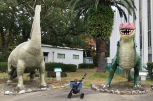 東海大学海洋科学博物館＆東海大学自然史博物館（館内カートなどあればわんちゃんOK）-静岡市清水区三保