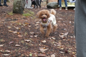 顔が笑ってるー