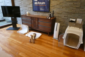 おトイレスペース