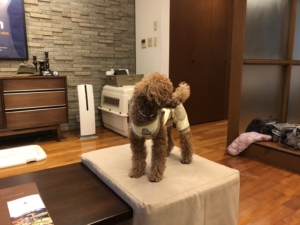 夕食までしばし休憩