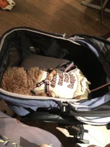 ふうた寝てます