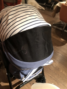 ふうた、騒ぎ出したので覆ってみました