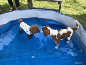 お友達とも仲良く入れました