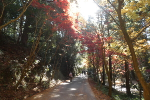 境内横にある散策路