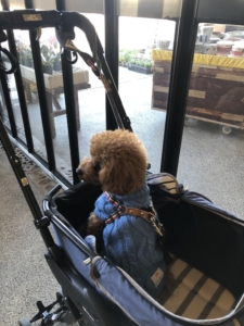 外を眺められる場所だったのもよかった