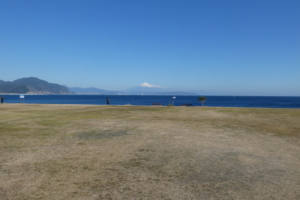 広場もたくさんあります