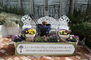 こんな写真撮影場所も