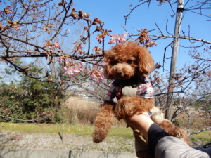 なんとか抱っこしてパチリ