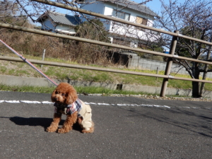 ふうたのテンション