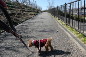 スロープでいきます