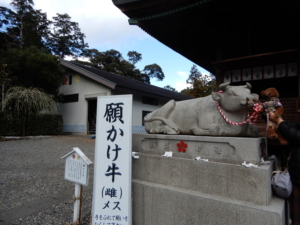 願掛け牛