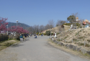 滑り台、おおきいです