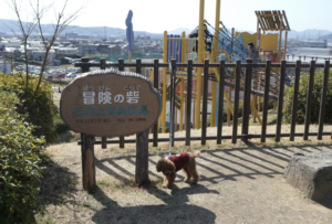 後ろが滑り台がある場所