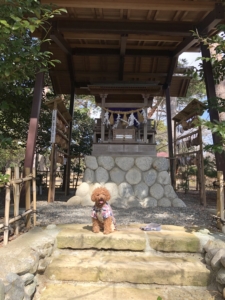 ふうたもお参り