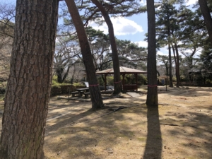 奥は公園になっています