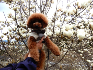 抱きかかえてパチリ