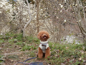 ふうたとパチリ